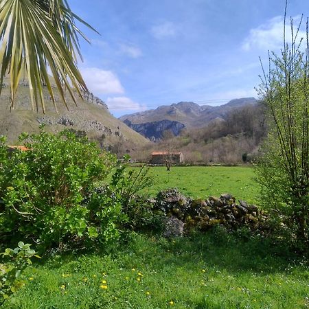 Amplia Y Comoda Casa De Piedra Con Porche Y Jardin San Roque de Ríomiera Extérieur photo
