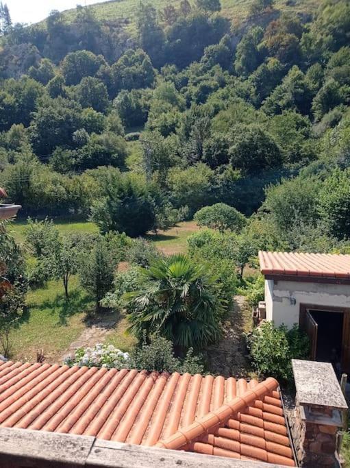 Amplia Y Comoda Casa De Piedra Con Porche Y Jardin San Roque de Ríomiera Extérieur photo