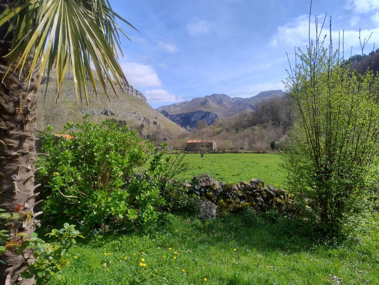 Amplia Y Comoda Casa De Piedra Con Porche Y Jardin San Roque de Ríomiera Extérieur photo